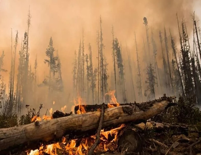 中国·太阳城集团(古天乐代言)官方网站-欢迎光临